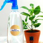 3 Ingredient DIY Disinfectant Cleaning Spray – BEST Homemade DIY Disinfecting Cleaner Recipe – Rubbing Alcohol – Essential Oil
