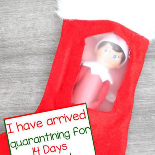 BEST Elf On The Shelf Arrival Idea! Dollar Tree Idea For Kids That Are Easy – Funny – Awesome – Creative