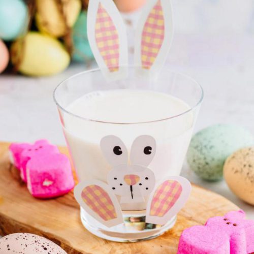Alcoholic Drinks – BEST Easter Bunny Margarita Recipe – Easy and Simple On The Rocks Alcohol Drinks